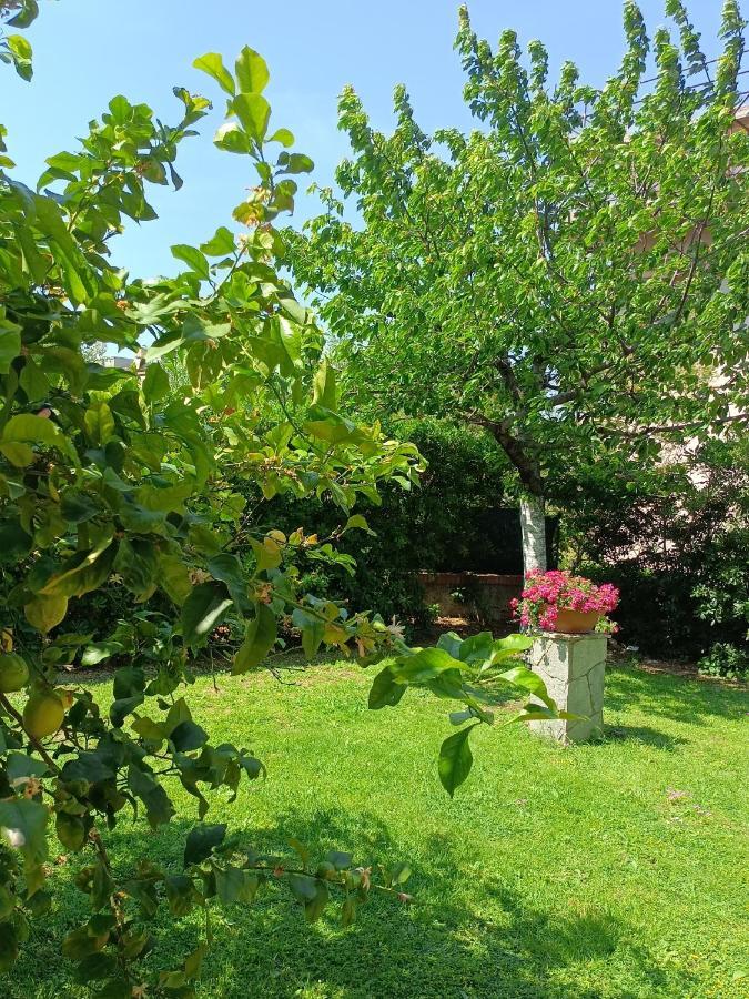 Il Giardino A Boccadasse Генуя Екстер'єр фото
