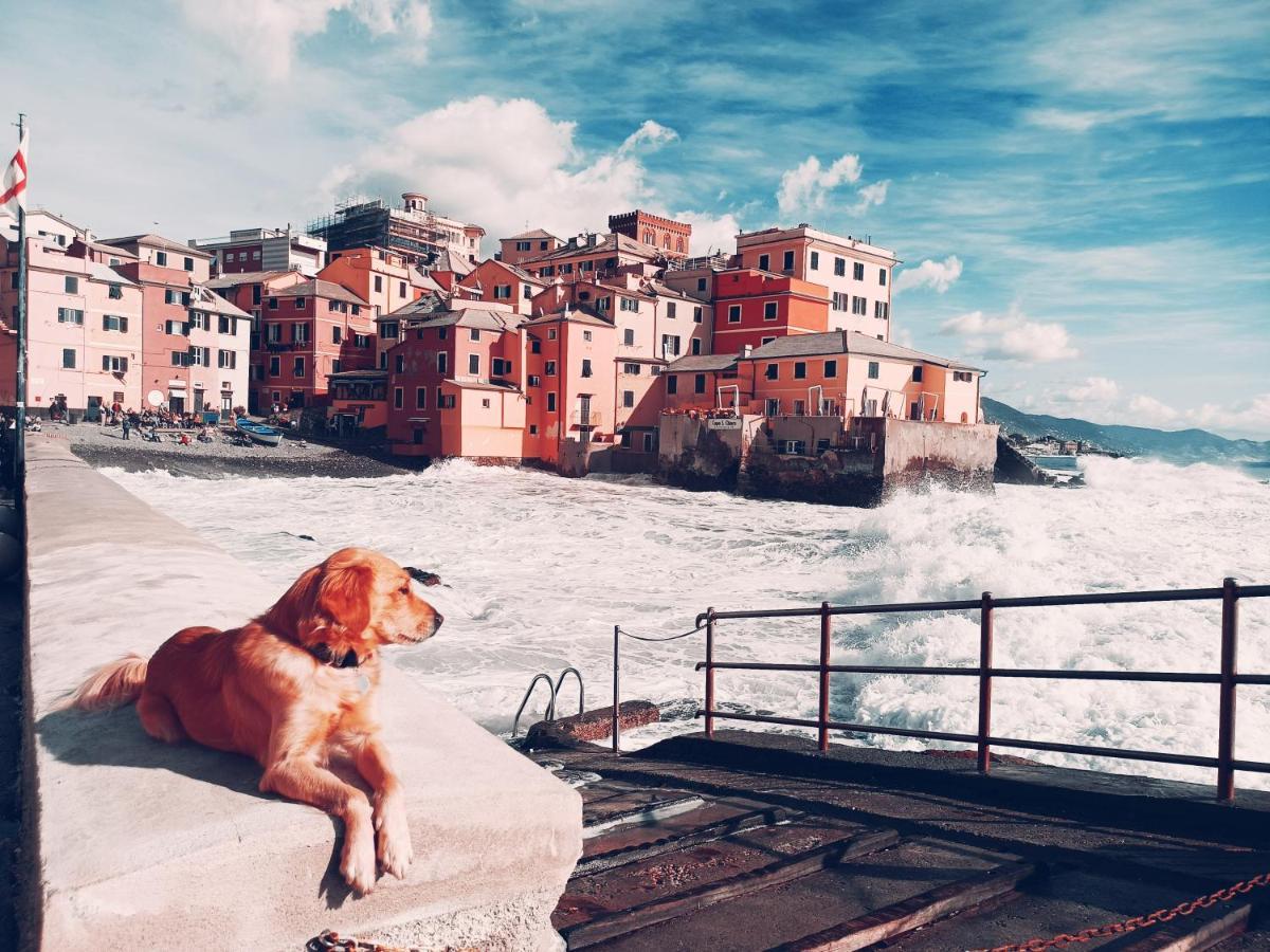 Il Giardino A Boccadasse Генуя Екстер'єр фото